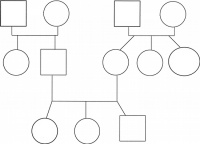 Genogram stosowany w psychoterapii systemowej